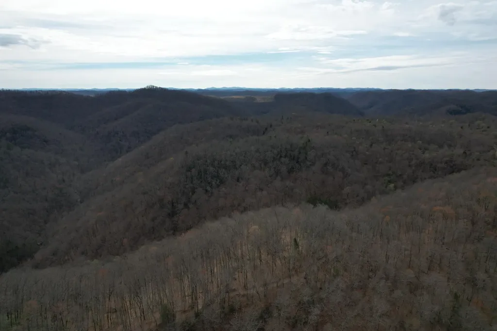 594 Morning Glory Lane Stinnett KY 40868