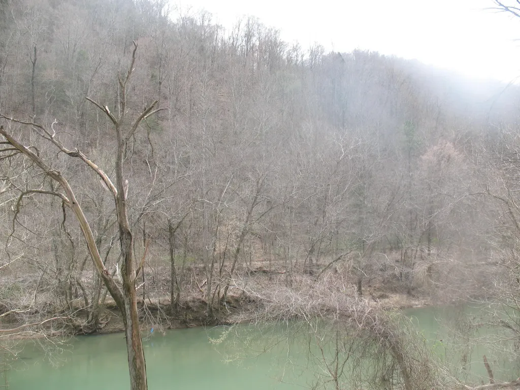 594 Morning Glory Lane Stinnett KY 40868