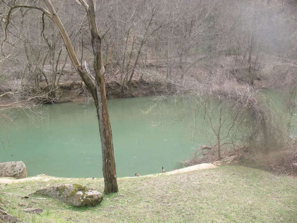 594 Morning Glory Lane Stinnett KY 40868