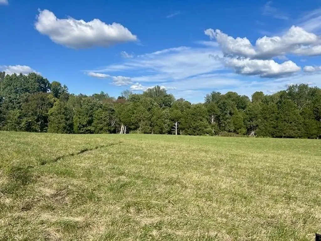 29.06 Acres Hutchison Loy Road Columbia KY 42728