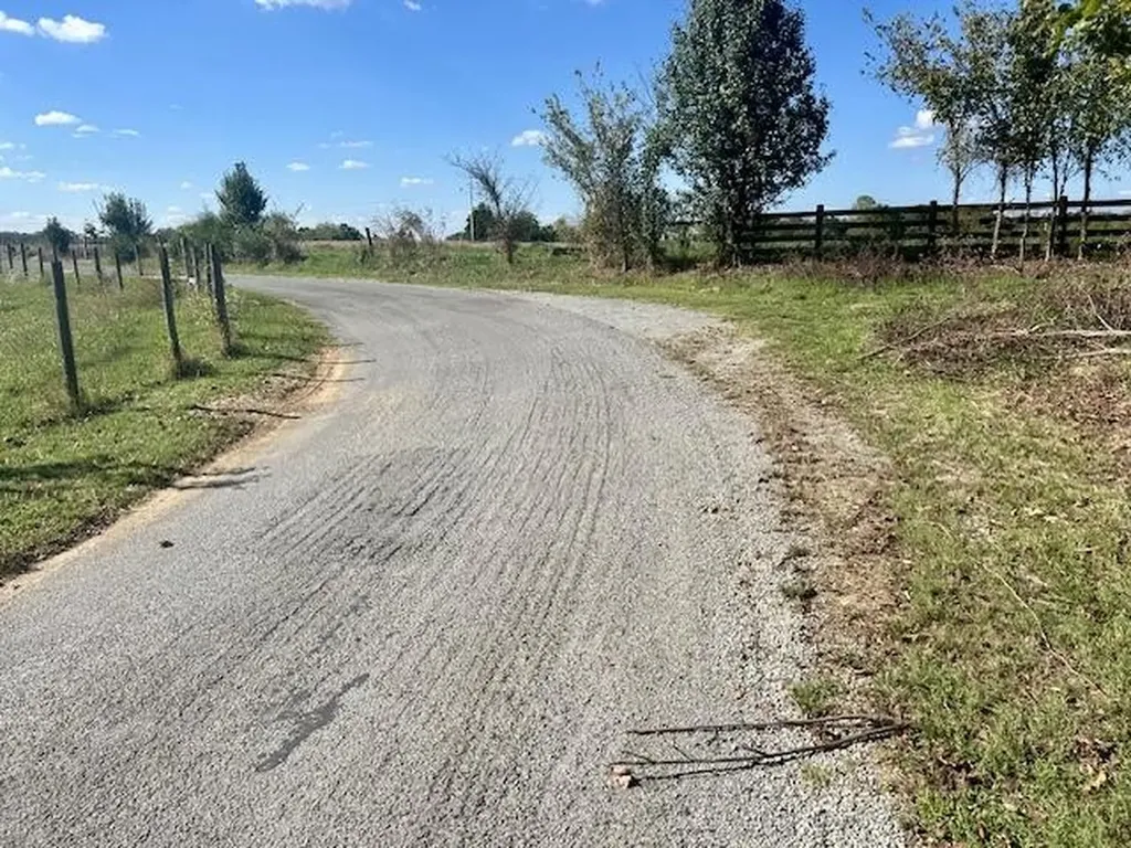 29.06 Acres Hutchison Loy Road Columbia KY 42728