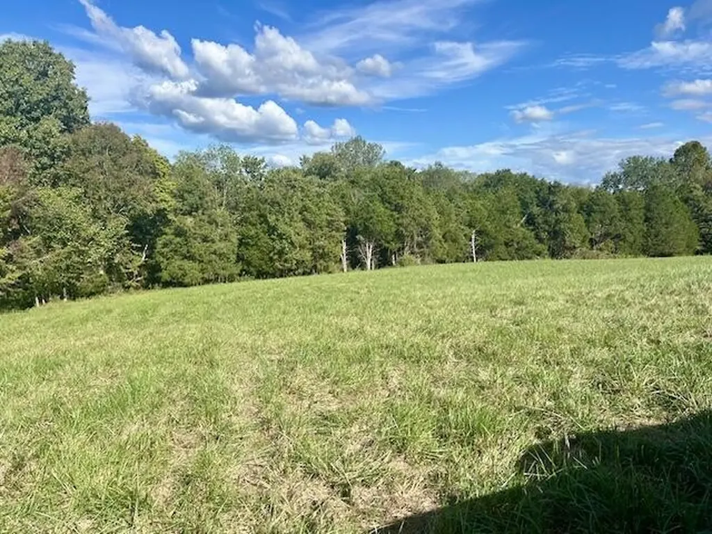 29.06 Acres Hutchison Loy Road Columbia KY 42728
