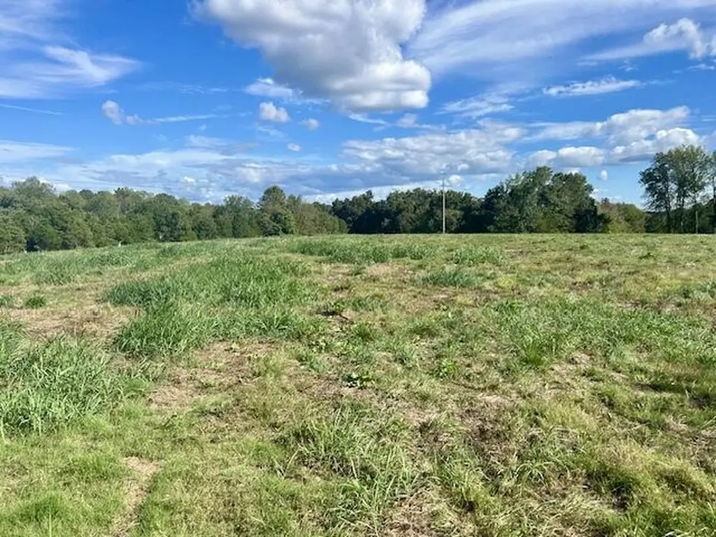 29.06 Acres Hutchison Loy Road Columbia KY 42728