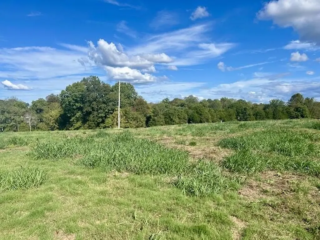 29.06 Acres Hutchison Loy Road Columbia KY 42728
