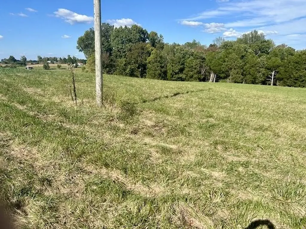 29.06 Acres Hutchison Loy Road Columbia KY 42728