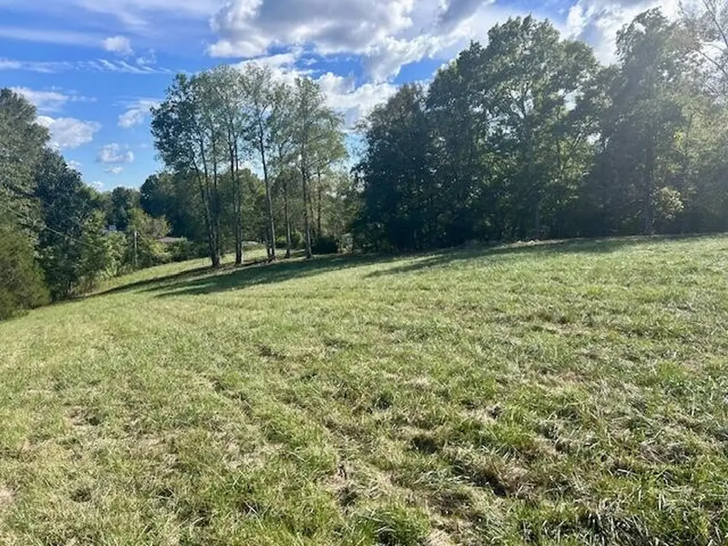 29.06 Acres Hutchison Loy Road Columbia KY 42728