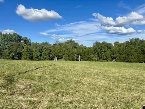 29.06 acres Hutchison Loy Road Columbia KY 42728