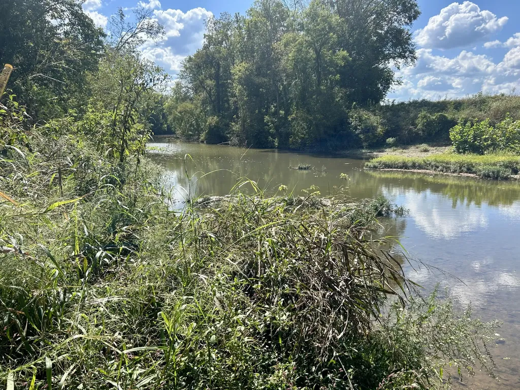 23 Acres Davis Lane Columbia KY 42728
