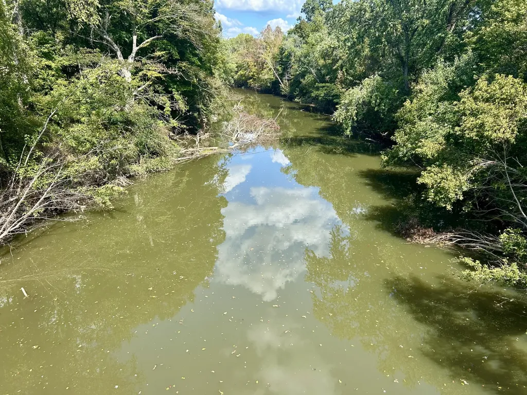 23 Acres Davis Lane Columbia KY 42728