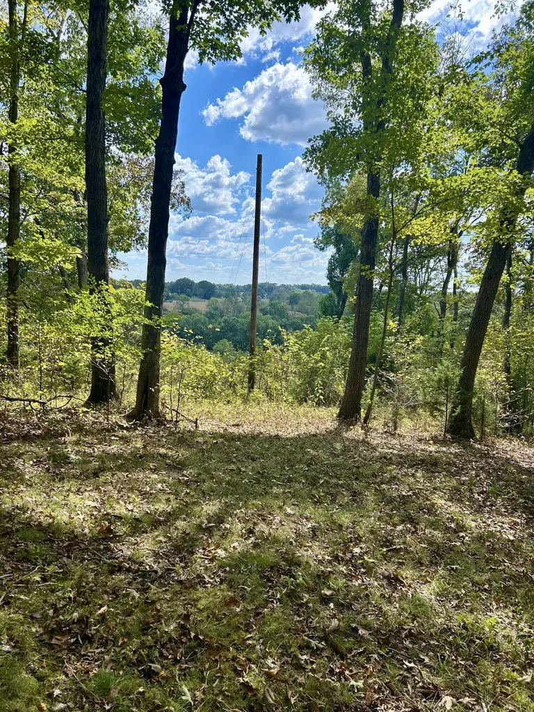 23 Acres Davis Lane Columbia KY 42728