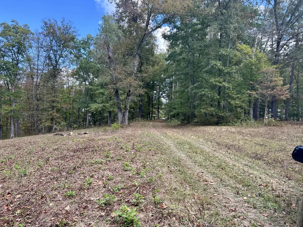23 Acres Davis Lane Columbia KY 42728