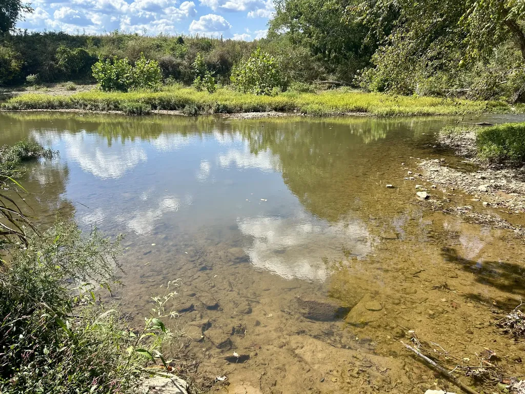 23 Acres Davis Lane Columbia KY 42728