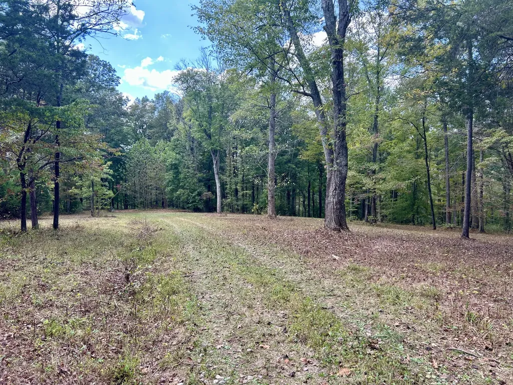 23 Acres Davis Lane Columbia KY 42728