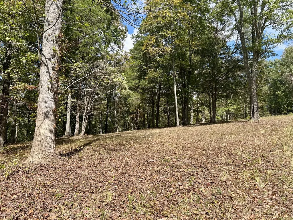 23 Acres Davis Lane Columbia KY 42728