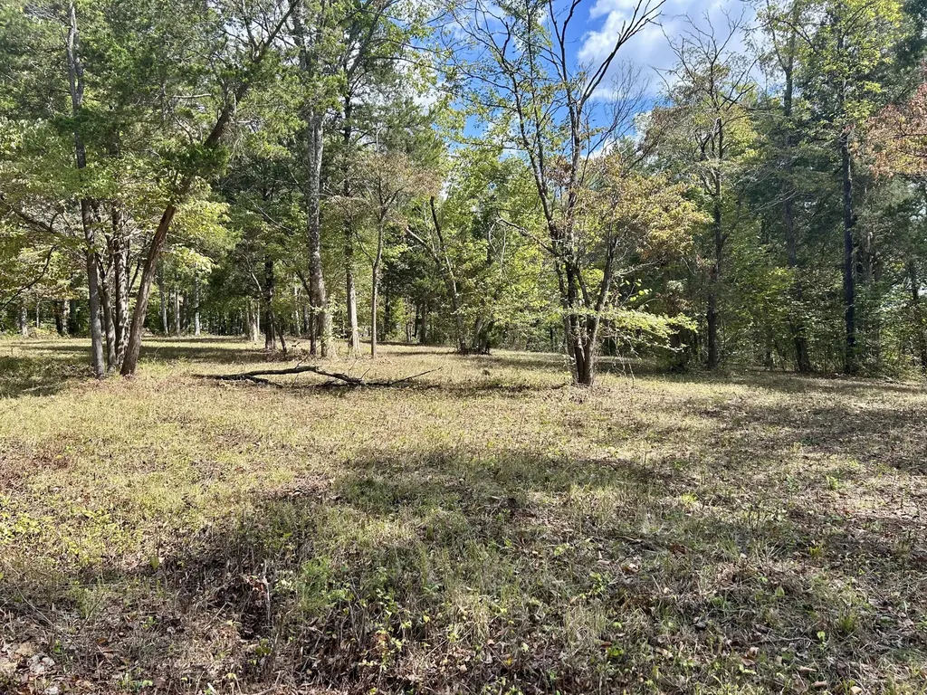 23 Acres Davis Lane Columbia KY 42728
