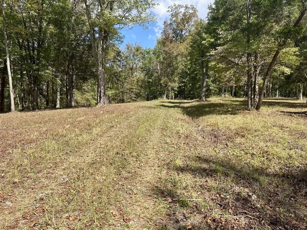 23 Acres Davis Lane Columbia KY 42728