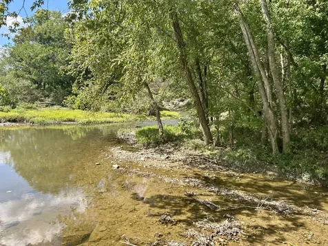 23 acres Davis Lane Columbia KY 42728