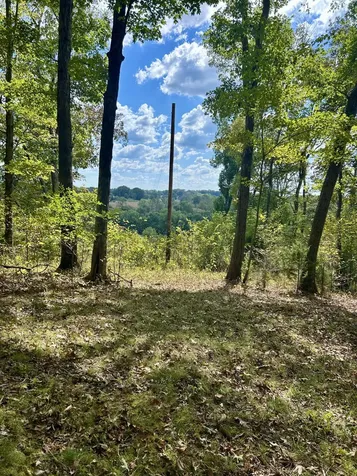 23 acres Davis Lane Columbia KY 42728