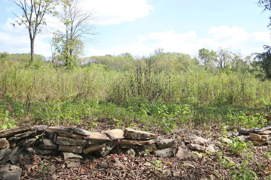 1010 Steele Road Versailles KY 40383