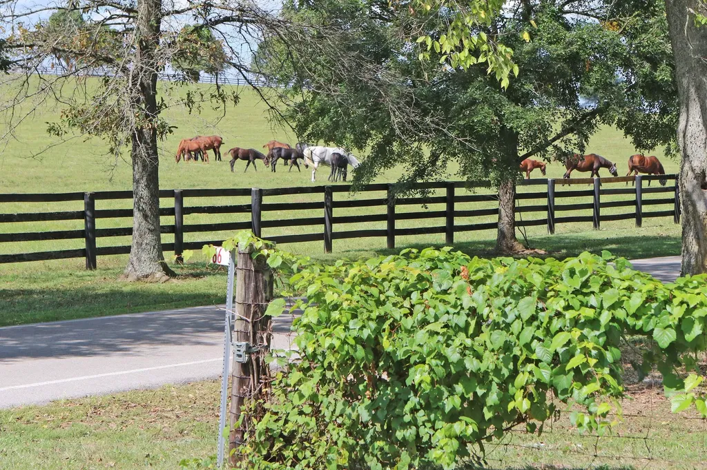 1010 Steele Road Versailles KY 40383