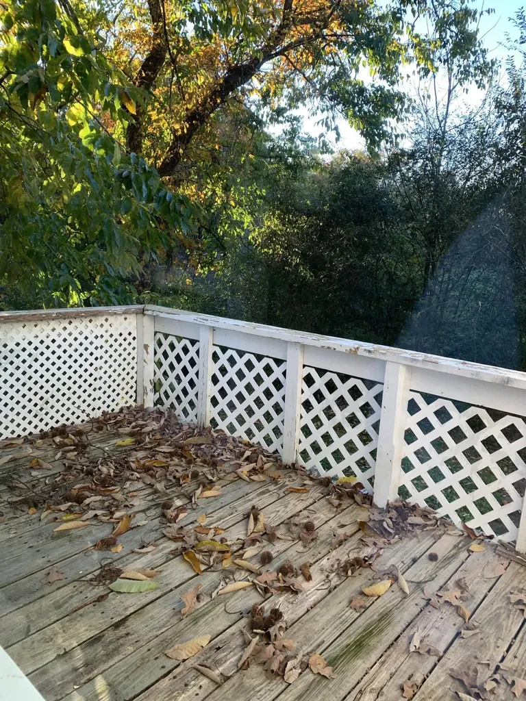 138 Tim Stephens Road Stearns KY 42647