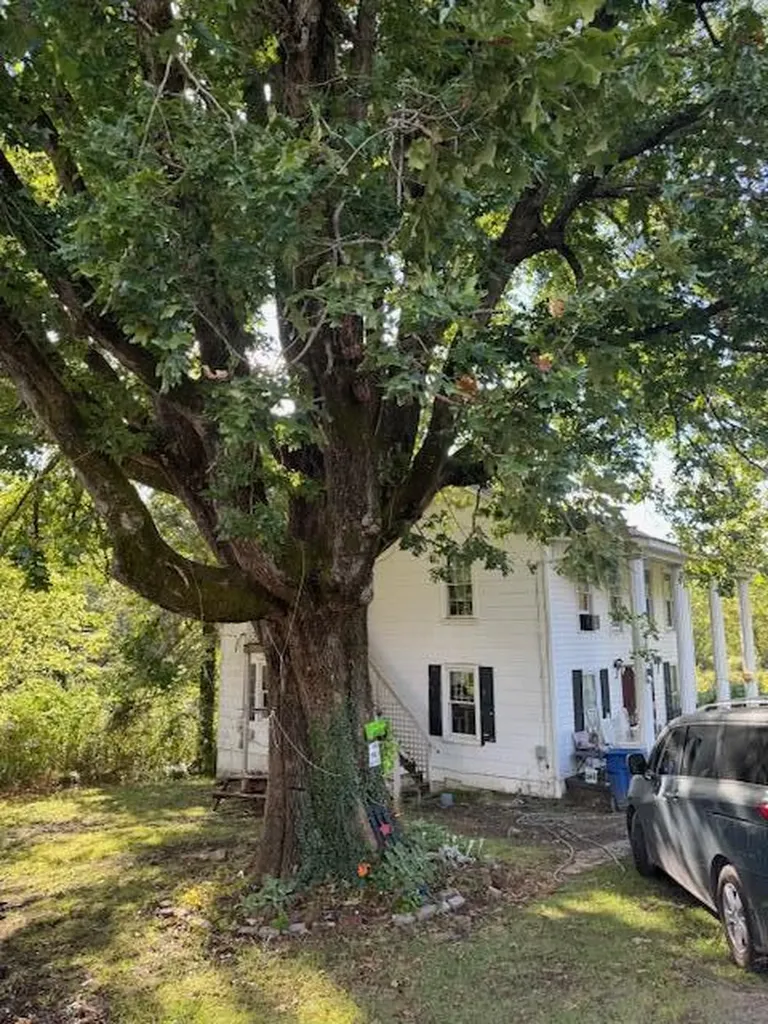 138 Tim Stephens Road Stearns KY 42647