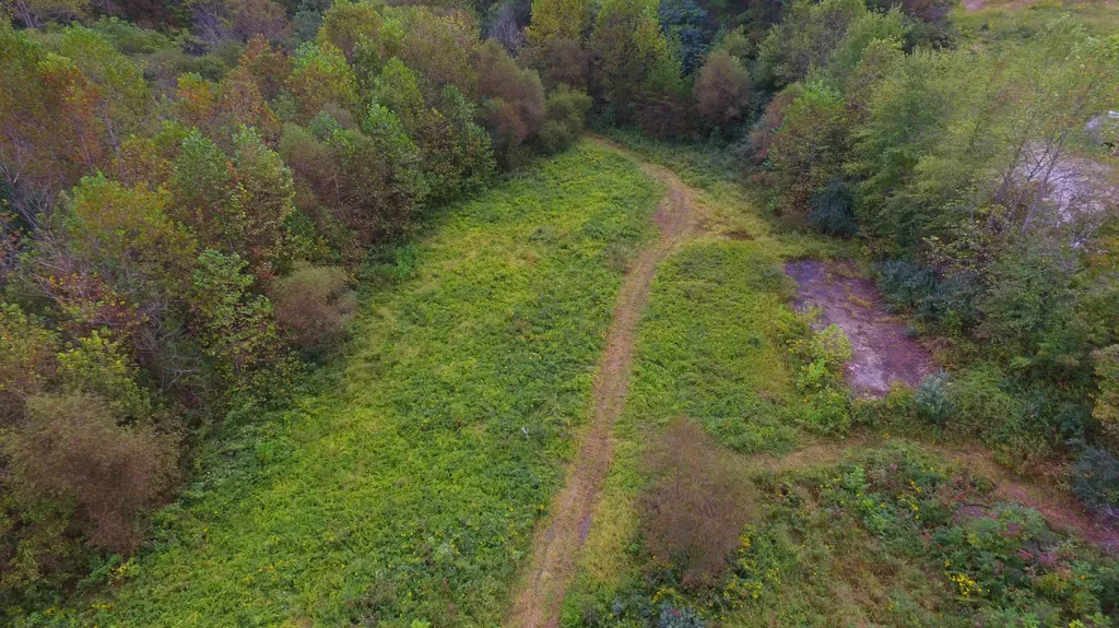 7566 Highway 26 Rockholds KY 40759
