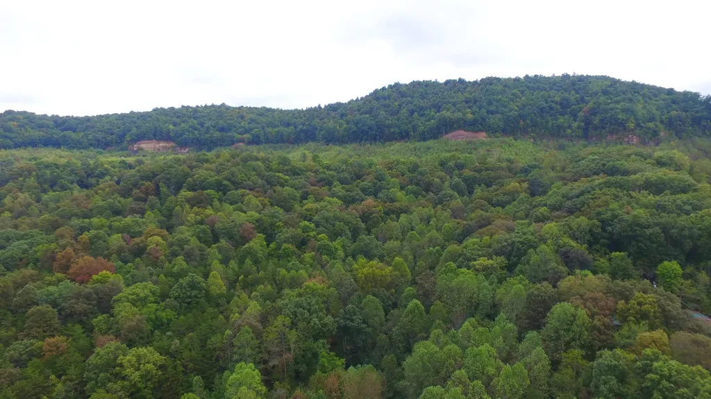 7566 Highway 26 Rockholds KY 40759