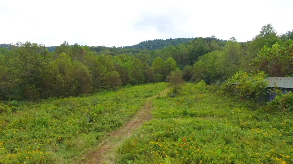 7566 Highway 26 Rockholds KY 40759