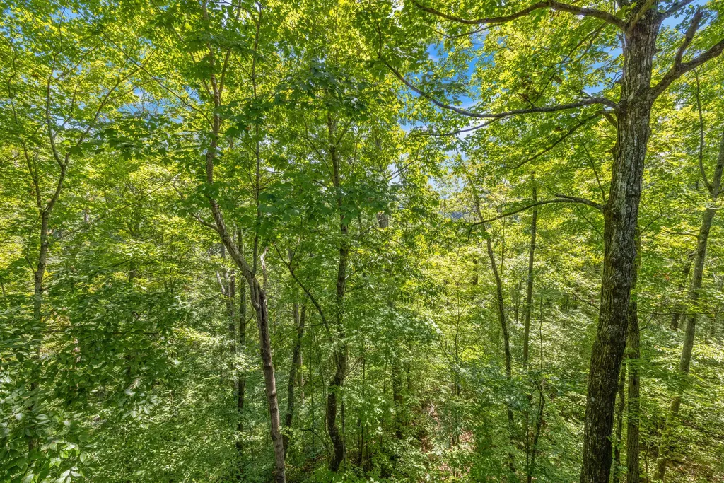 145 State Park Road Jamestown KY 42629