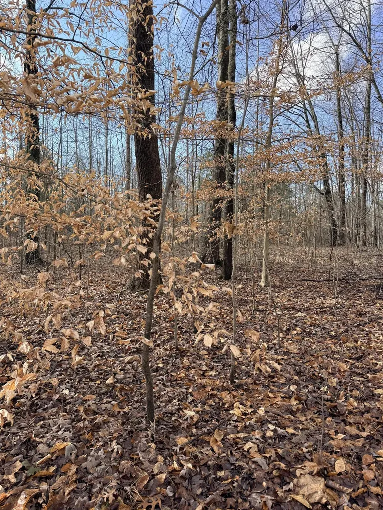 200 Old Phelps Lane Morehead KY 40351