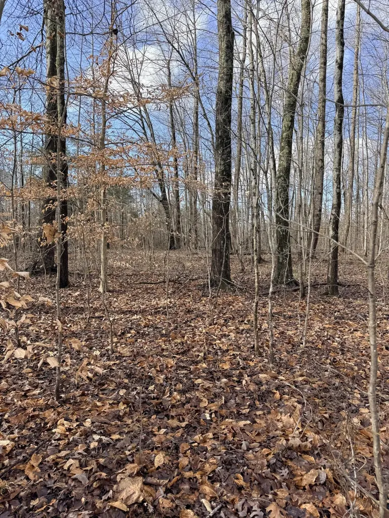 200 Old Phelps Lane Morehead KY 40351