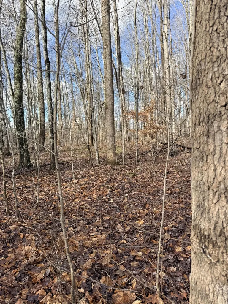 200 Old Phelps Lane Morehead KY 40351