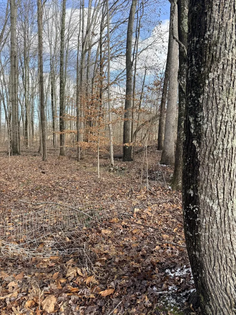 200 Old Phelps Lane Morehead KY 40351