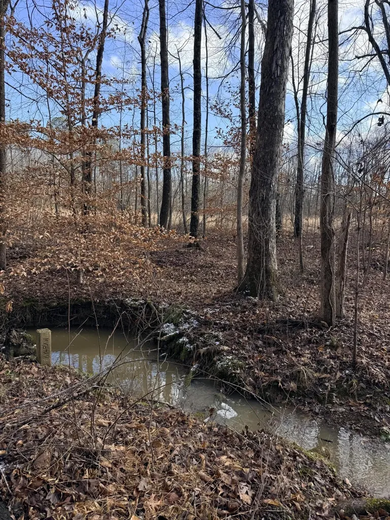 200 Old Phelps Lane Morehead KY 40351