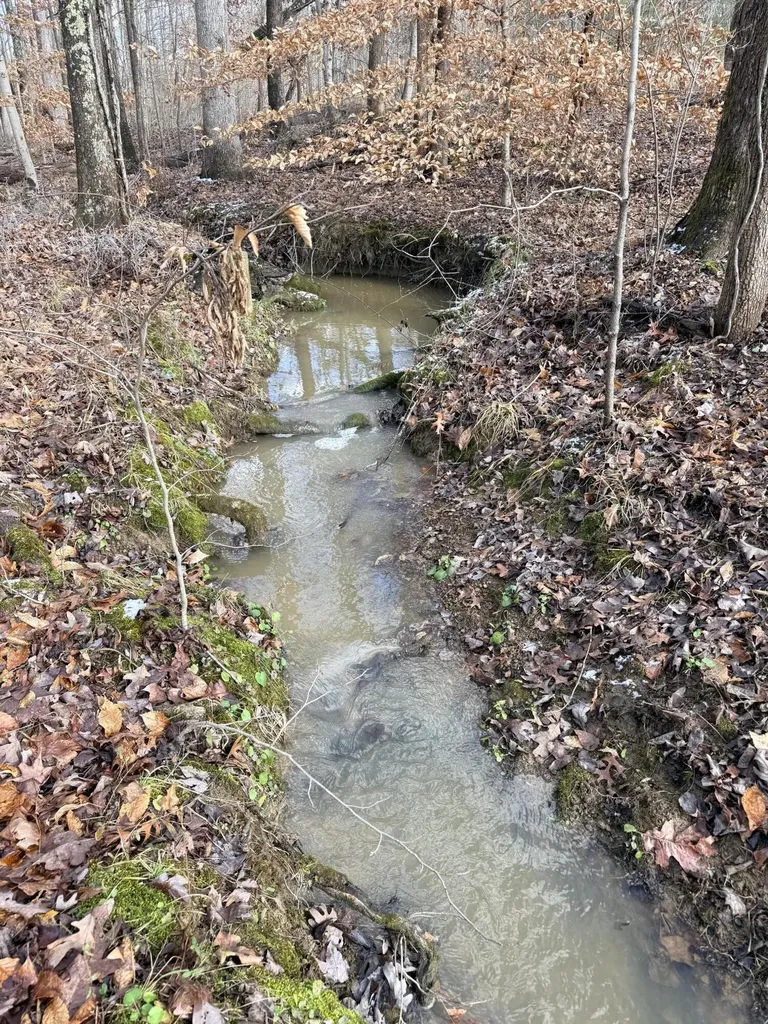 200 Old Phelps Lane Morehead KY 40351