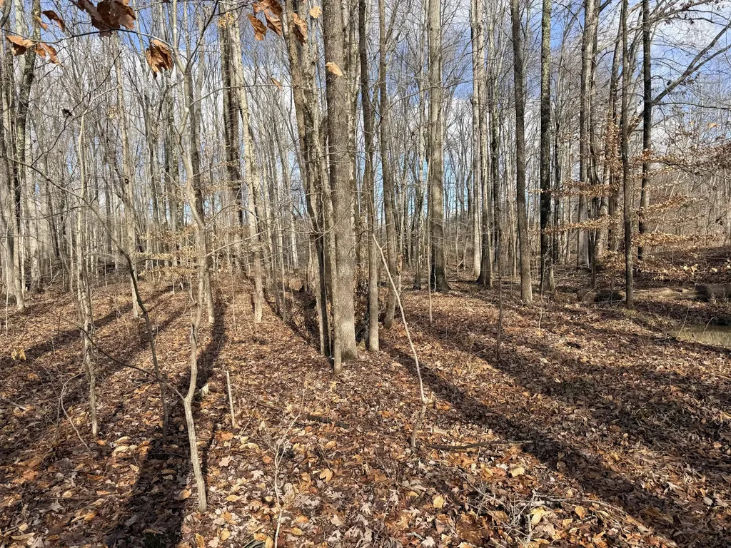 200 Old Phelps Lane Morehead KY 40351