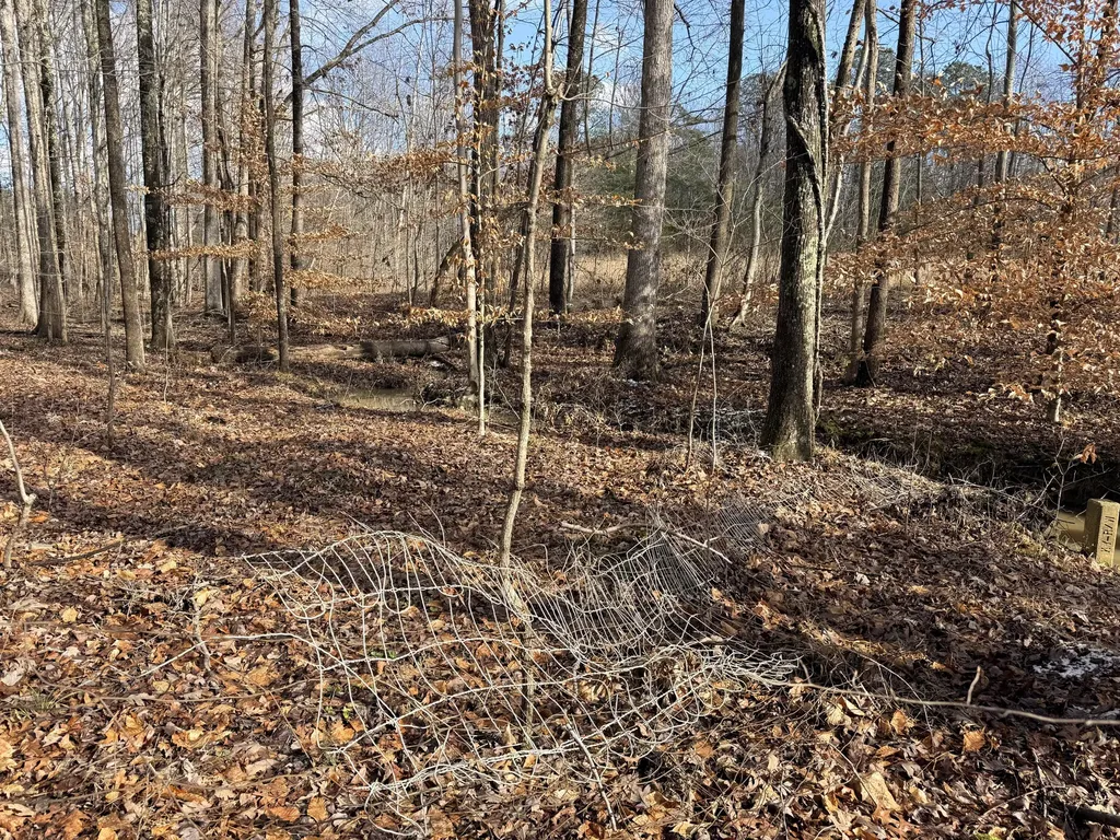 200 Old Phelps Lane Morehead KY 40351