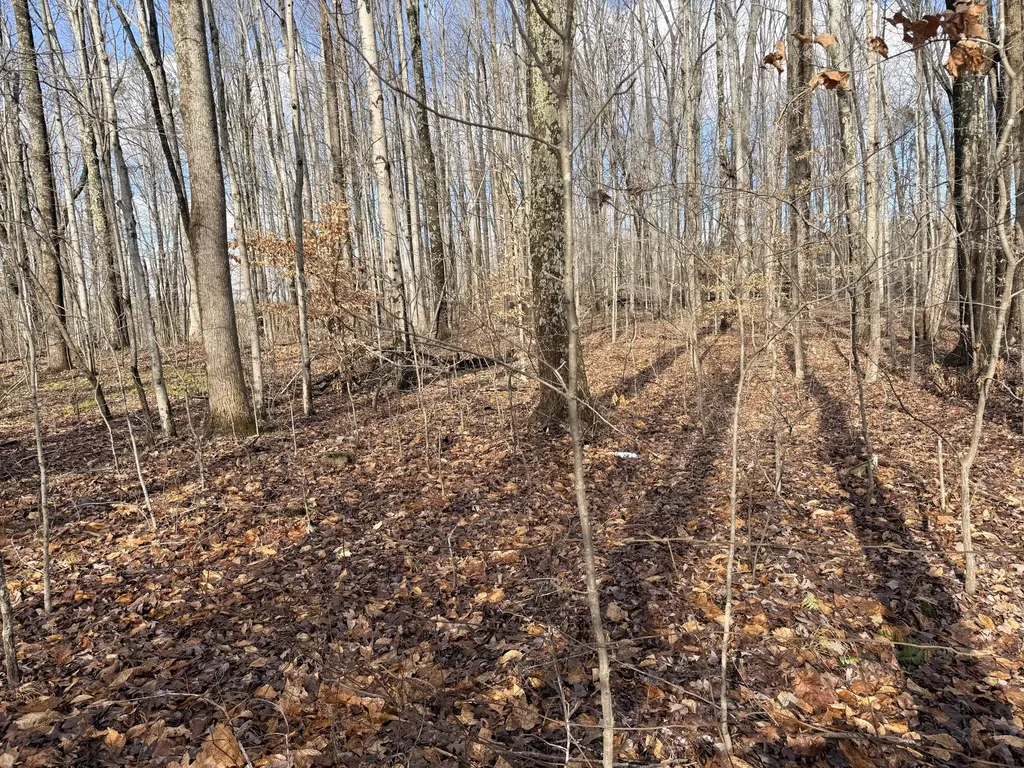200 Old Phelps Lane Morehead KY 40351