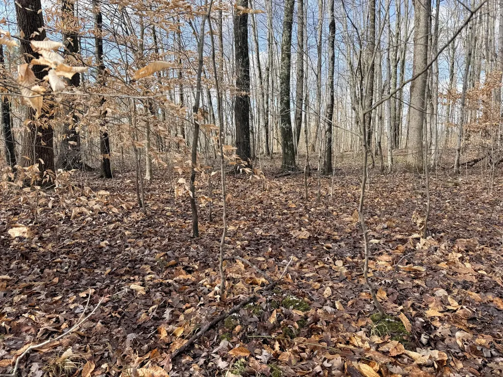 200 Old Phelps Lane Morehead KY 40351