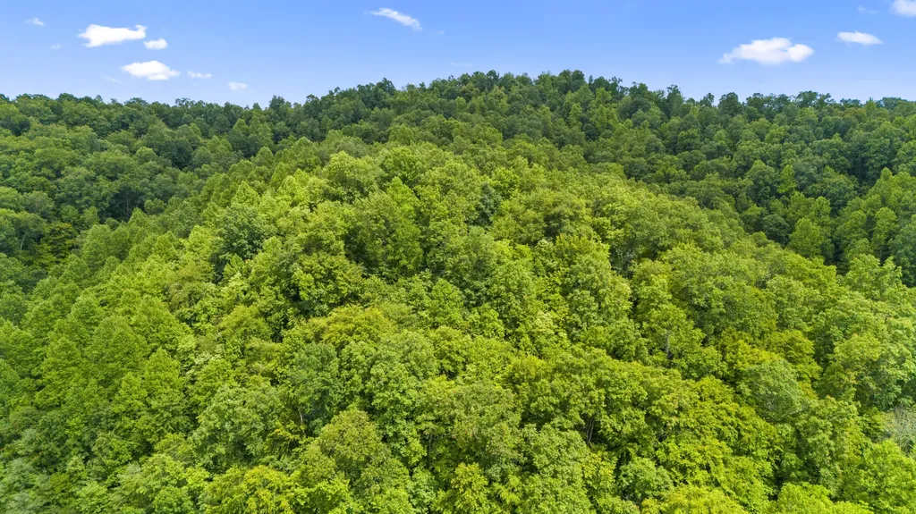 1235 Greenbrier Branch Road Campton KY 41301