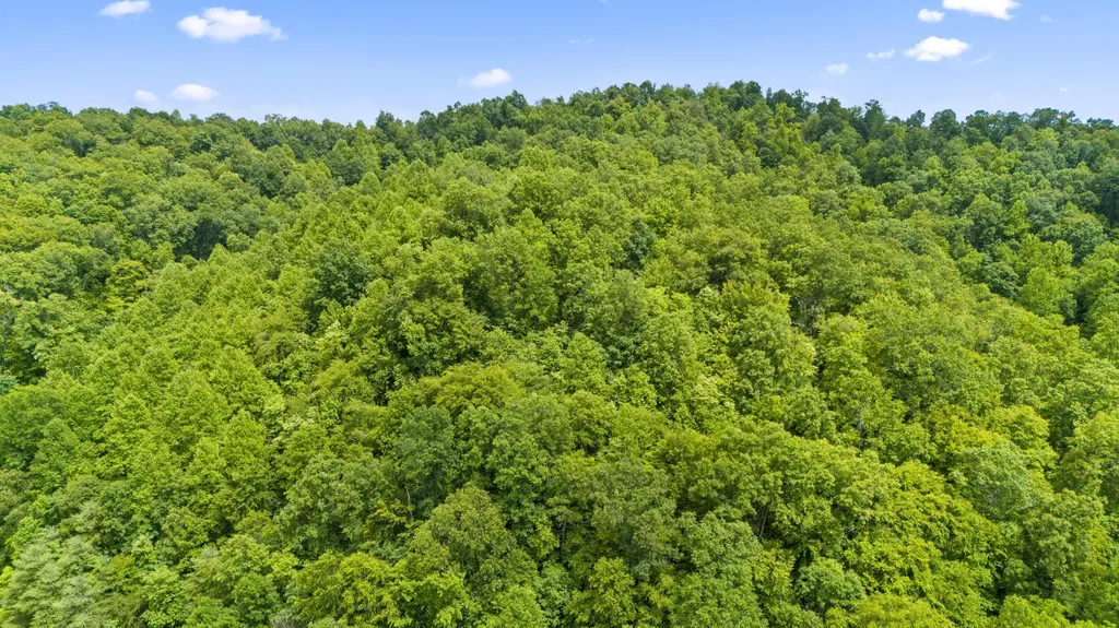 1235 Greenbrier Branch Road Campton KY 41301