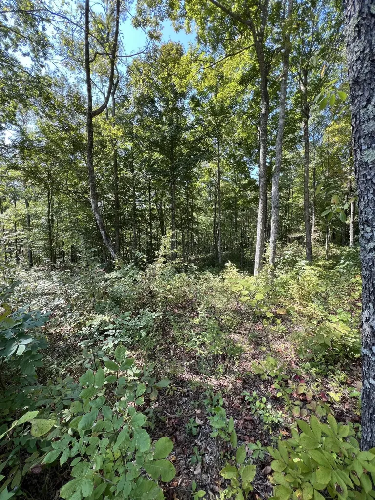 Lot 25 Restful Run Road Nancy KY 42544