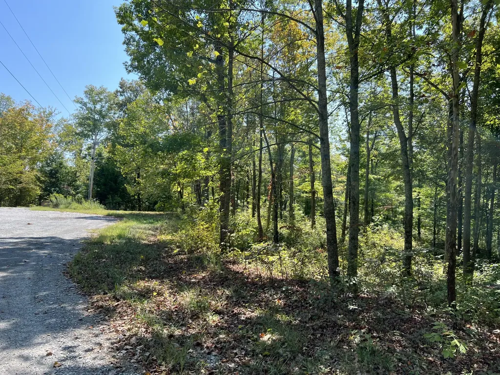 Lot 25 Restful Run Road Nancy KY 42544
