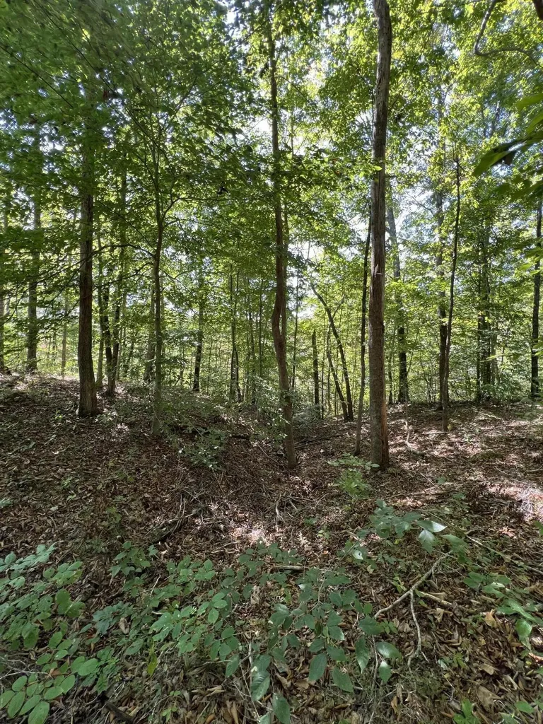 Lot 25 Restful Run Road Nancy KY 42544