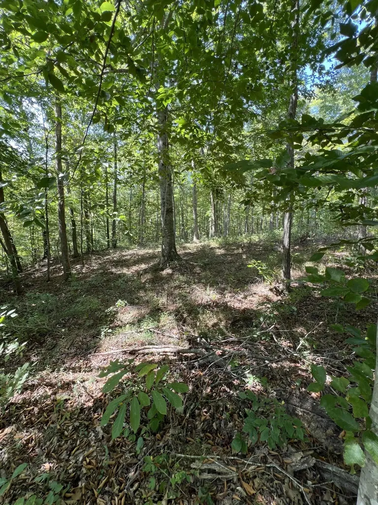 Lot 25 Restful Run Road Nancy KY 42544