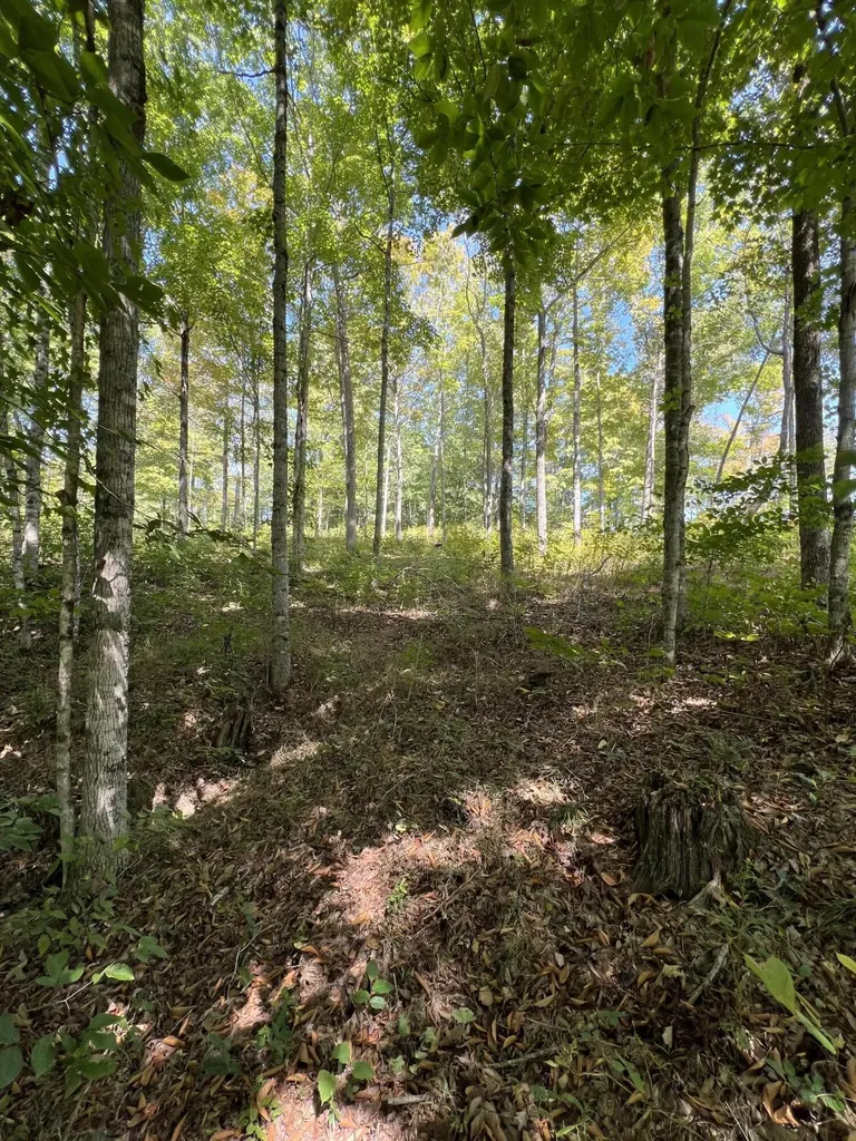 Lot 25 Restful Run Road Nancy KY 42544