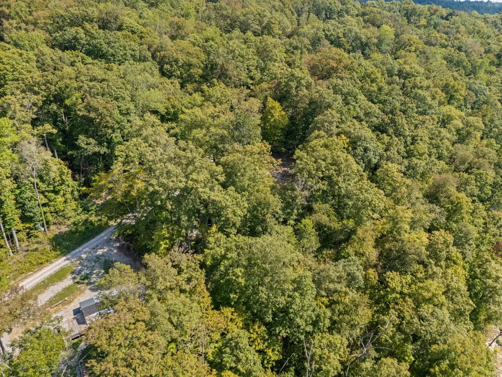 1424 Jasper Lake Drive Burnside KY 42519