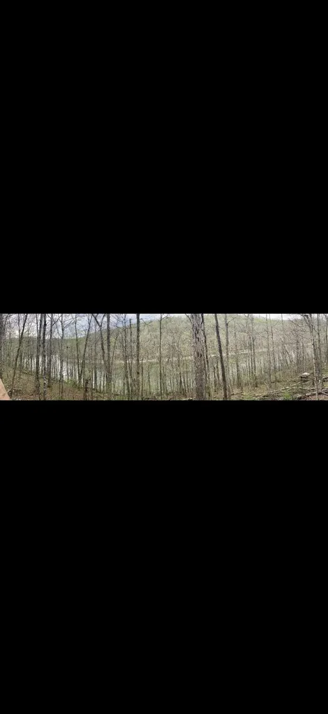 1424 Jasper Lake Drive Burnside KY 42519