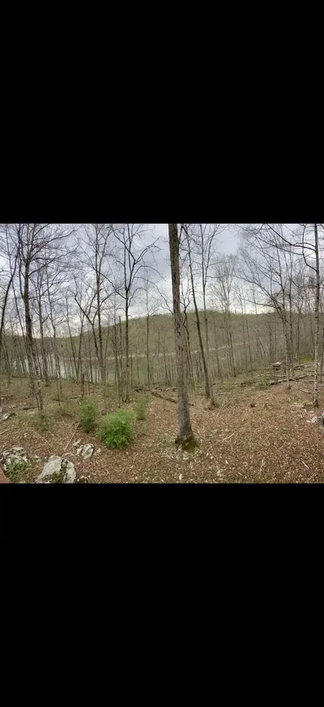 1424 Jasper Lake Drive Burnside KY 42519